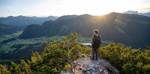 Hiker standing on hiking path between mountain pines