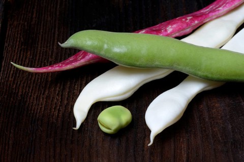 Various garden beans
