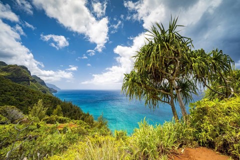 Blick vom Kalalau Trail auf die Na Pali Coast