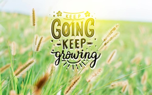 Motivational quotes