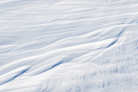 Snowdrift