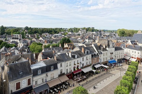 From Chateau Royal dAmboise
