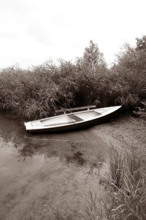 Fischerboot im Morgennebel im Schilfguertel am Ufer