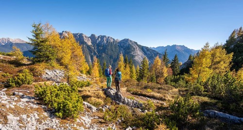 Two hikers in the landscape