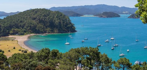 Boats anchored in the Bay of Islands
