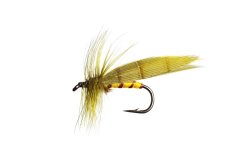 Fishing Fly