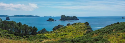 Coast at Cathedral Cove Walk