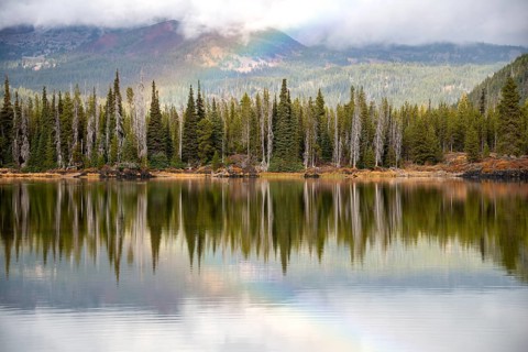 Rainbow and landscape with forest reflected in the lake