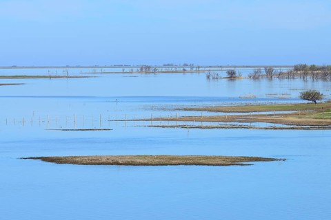 Alluvial land on the Rio Parana