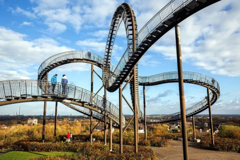 Tiger and Turtle