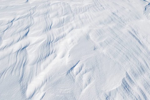 Snowdrift