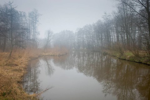 back water of the Ems