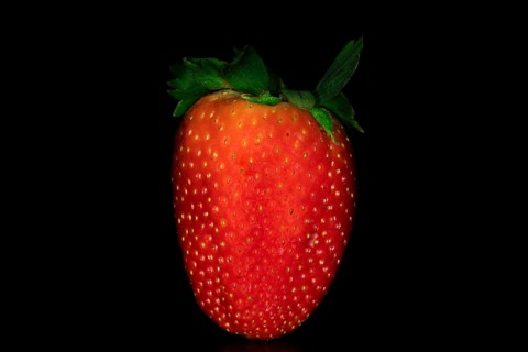 Eine frische Garten Erdbeere