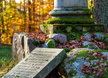 Historical column and stone slab with inscription in the park