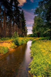 Long exposure of the river Wietze in Langenhagen in the region of Hannover