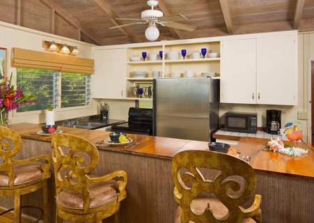 Tropical kitchen interior