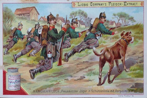 Bilderserie Manoeverbilder