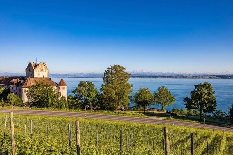 Burg Meersburg und Weinberg