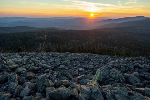 Ausblick vom Lusen