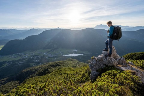 Hiker standing on a rock between mountain pines