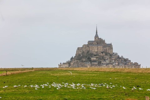 Island Mont Saint-Michel in the bay of Mont-Saint-Michel in the Wadden Sea
