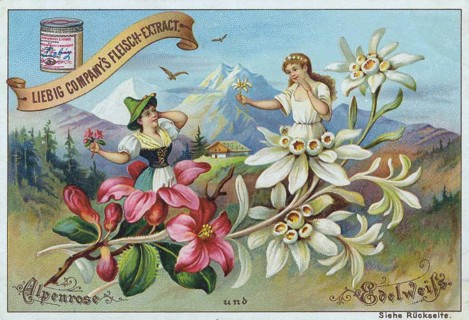 Series Flowers and Legends
