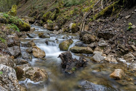 Riverbed on the Frillensee stream along the Bergwald adventure trail