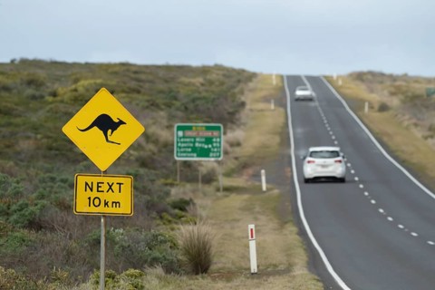 Road sign warning of Kangaroo's on the Great Ocean road