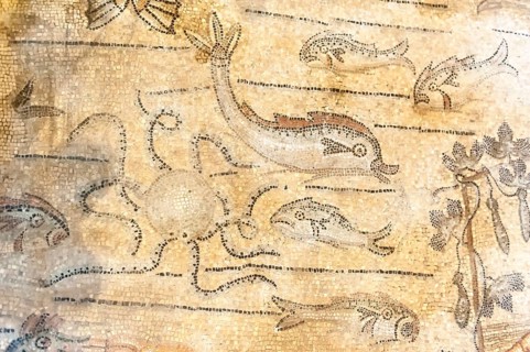 Archaeology