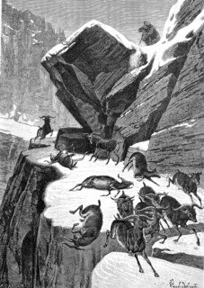 Hunting ibex in the Austrian Alps