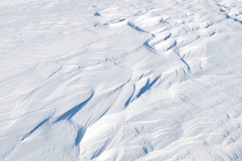 Snowdrift