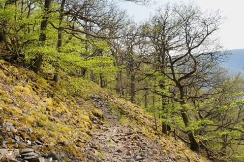 Hiking trail at the Blockhalde