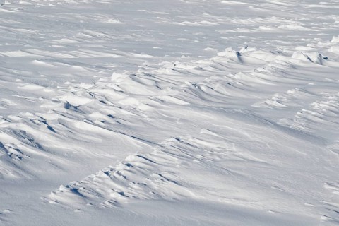 Snowdrift