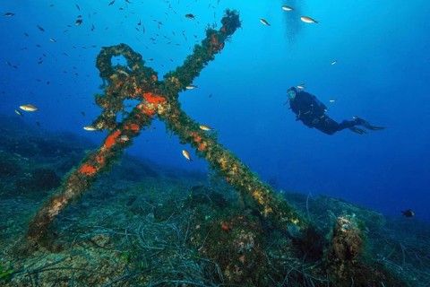 Old stick anchor