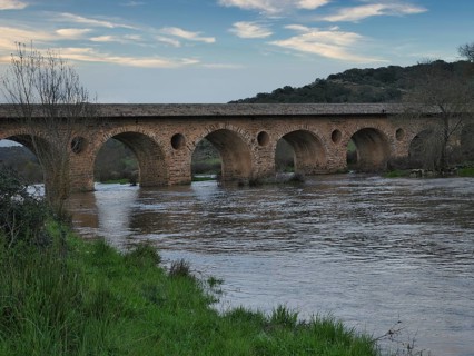 Bruecke am Fluss Almonte Nebenfluss des Tajo-River