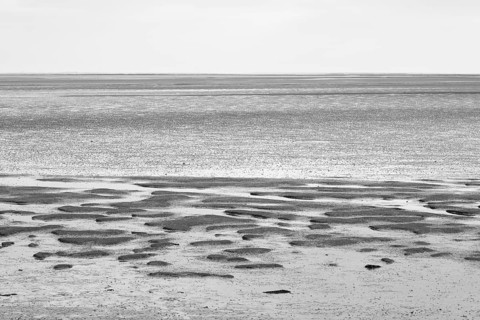 Ebbe im Nationalpark Wattenmeer