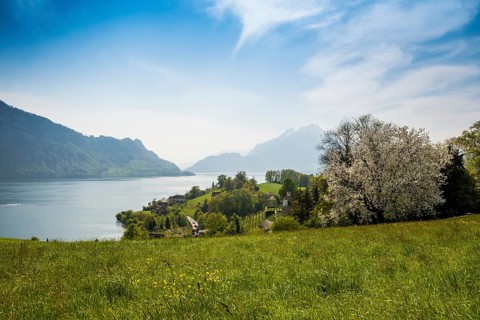 Panorama with lake and mountains