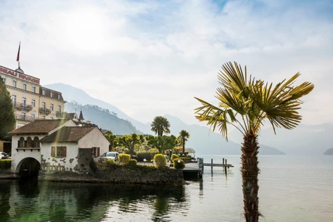 Hotels and houses on the lake