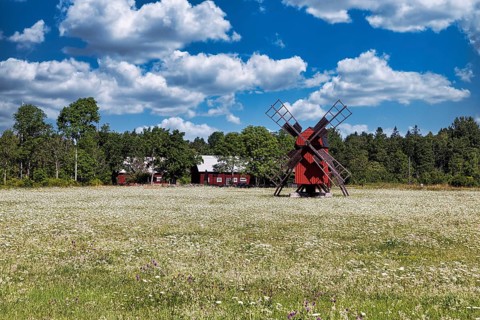 Red windmill in a flowering meadow on the edge of a village