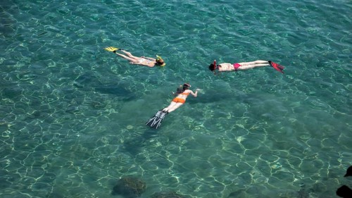 Three snorkellers swim on the surface and look at the seabed in a shallow bay with turquoise water