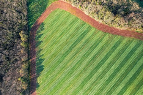 Top Down over Fields and Meadows over English Village