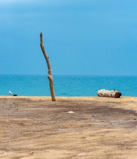 Wooden pole and driftwood on deserted beach