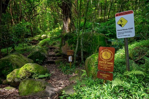 Maunawili Trail