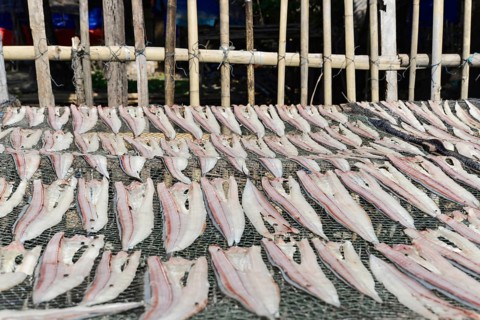 (Pisces) Ngapali Beach, Thandwe, Burma, Burma, Myanmar, Asia