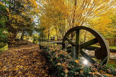 Golden autumn on the Anzinger Sempt in Markt Swabia