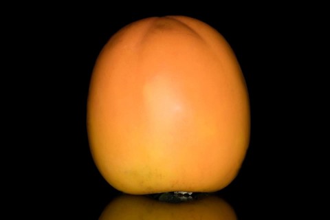 Persimmon