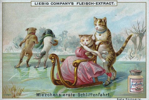 Series of funny animal depictions