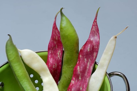 Various beans