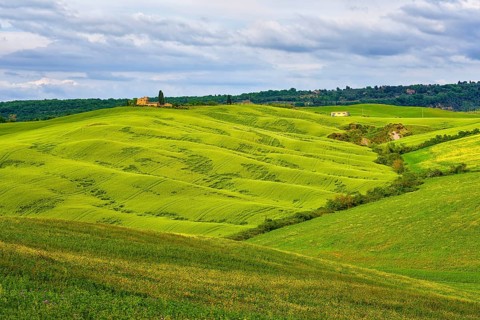 Pienza in Spring