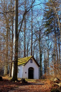 Castle nature trail